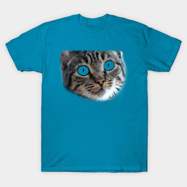 Cat Eyes T-Shirt by TheMojoPyro